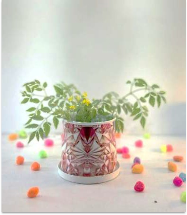 Printed Pot With Tray