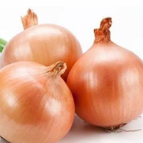 Brown Onion