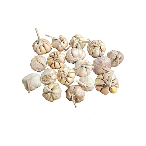 Garlic Cloves