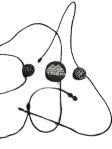 Molded Plastic Seal Tag