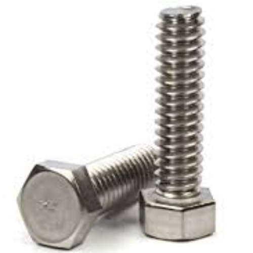 Stainless Steel Bolt