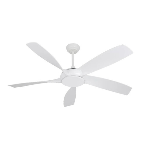 5 Blade Decorative Ceiling Fan