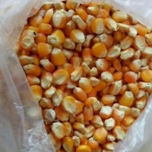 Yellow Corn