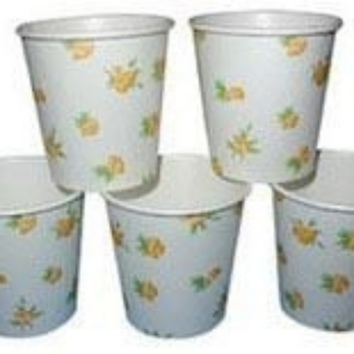 Disposable Paper Cup