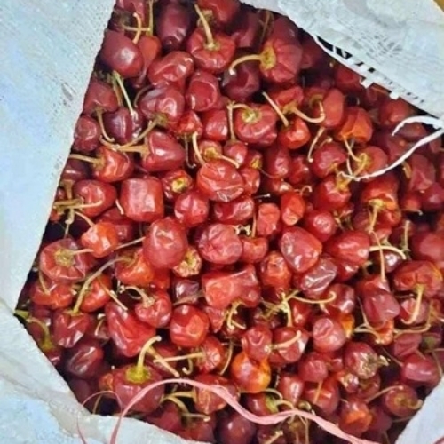 Dried Round Chilli
