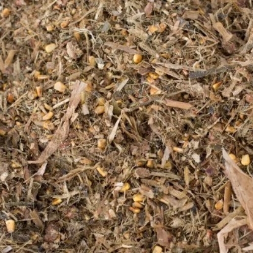 Silage Cattle Feed By Corn Agrotech Industries