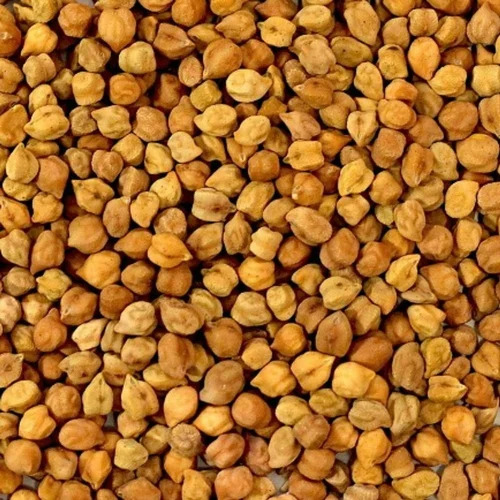 Gram Seed