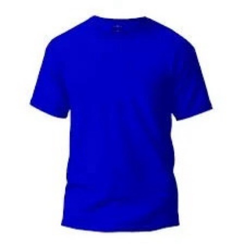 Men Blue T Shirt
