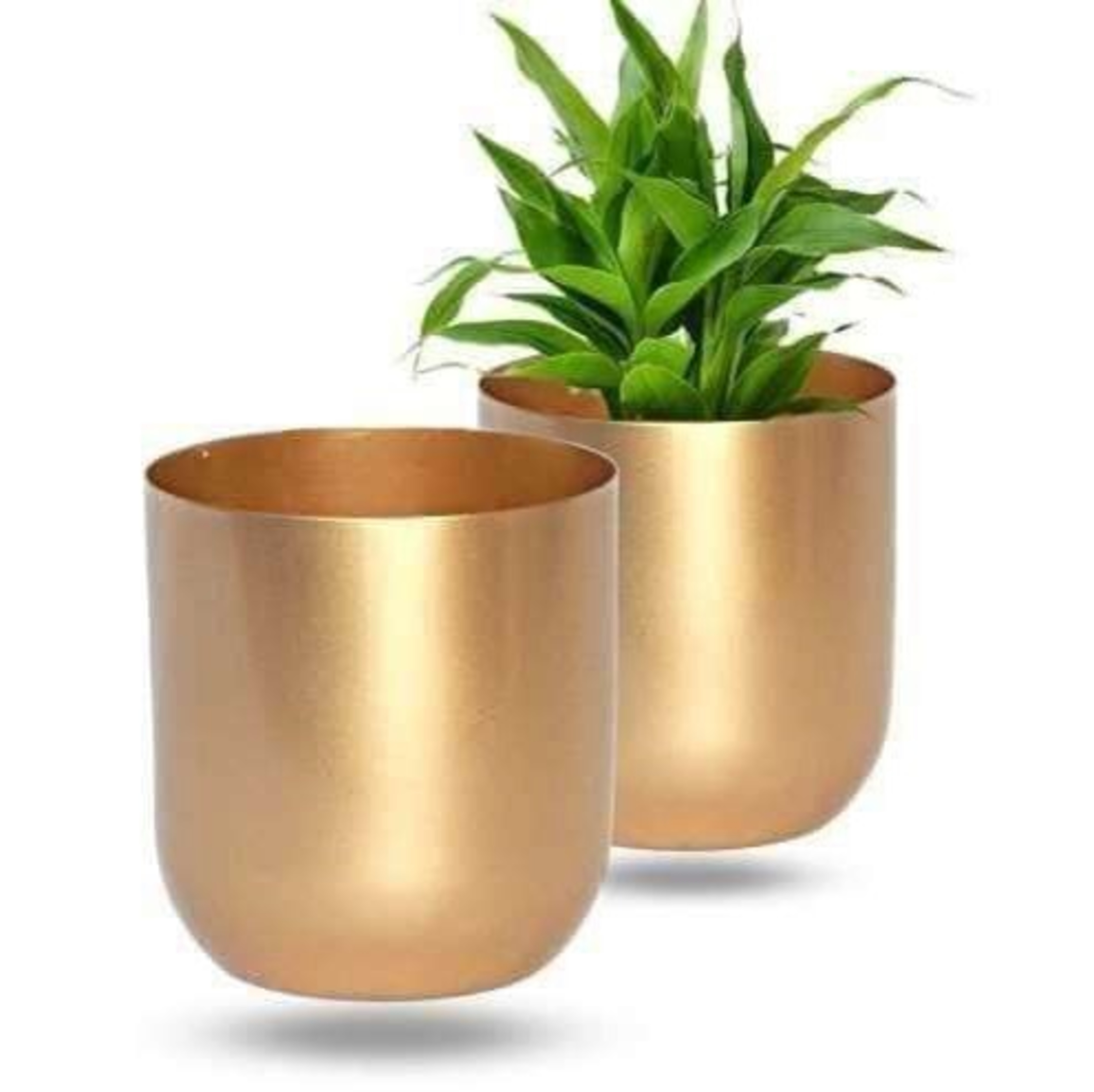 Metal Pot with Gold Finish