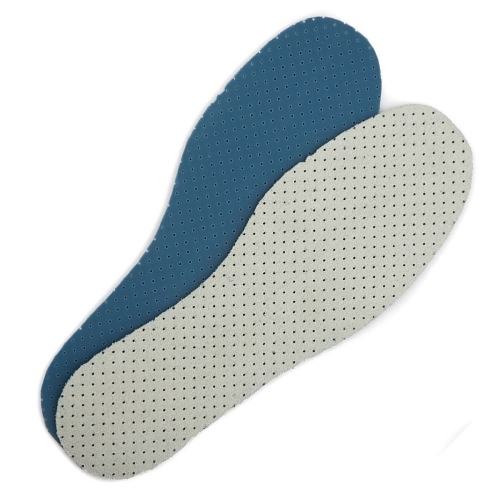 Shoe Insole