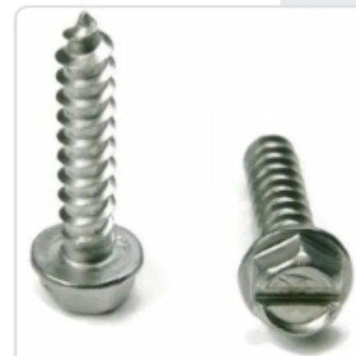 SS Washer Head Screw