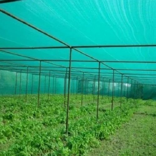 Agriculture Polyhouse
