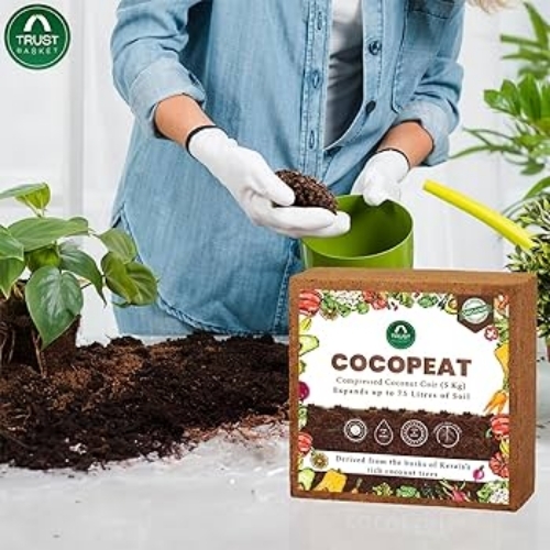 Brown Coir Blocks
