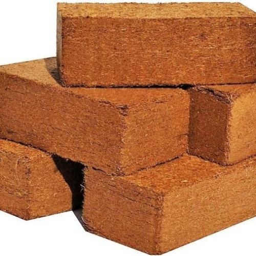 Coir Blocks