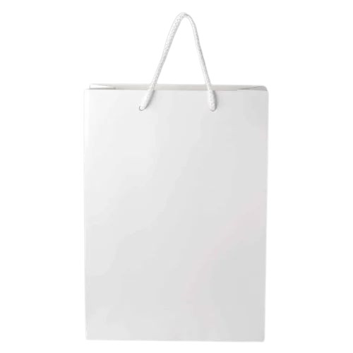 White Paper Bags