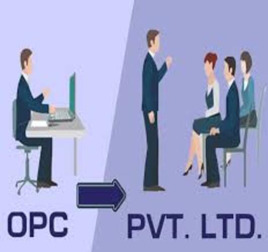 Conversion Of Opc To Private Ltd Services