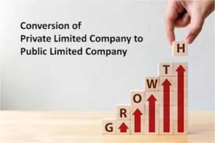 Conversion Of Private Ltd To Public Ltd Services