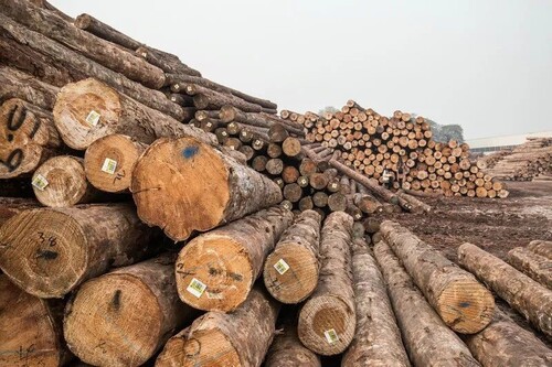 Jack Wood Logs - Core Material: Na
