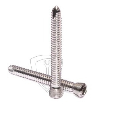 Titanium Bone Screw