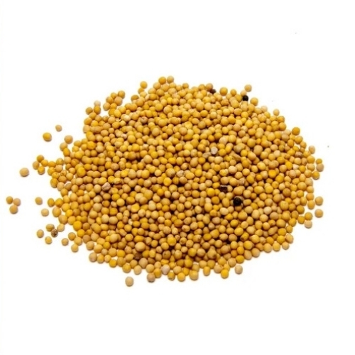 Yellow Mustard Seed