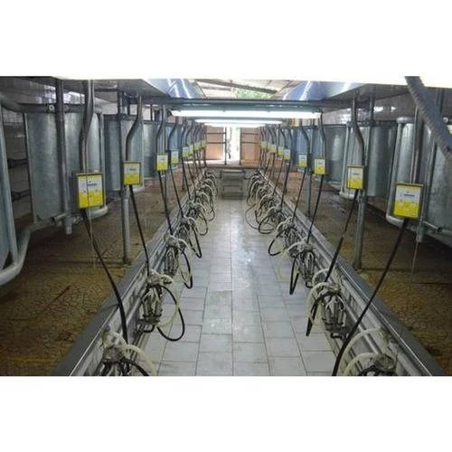 Herringbone Pipeline Milking Parlor