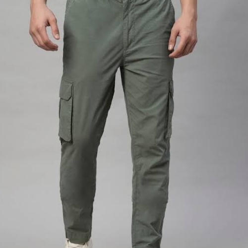 Mens pant