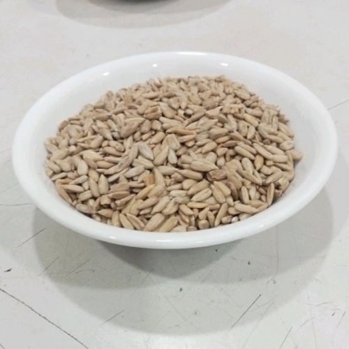 Oil Seed