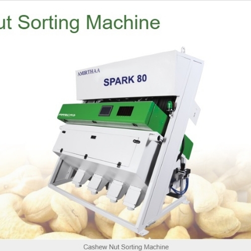 Cashew Nut Sorting Machine