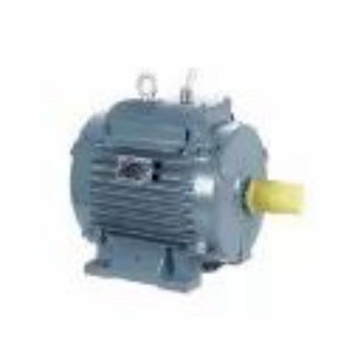 Commercial Electric Motor