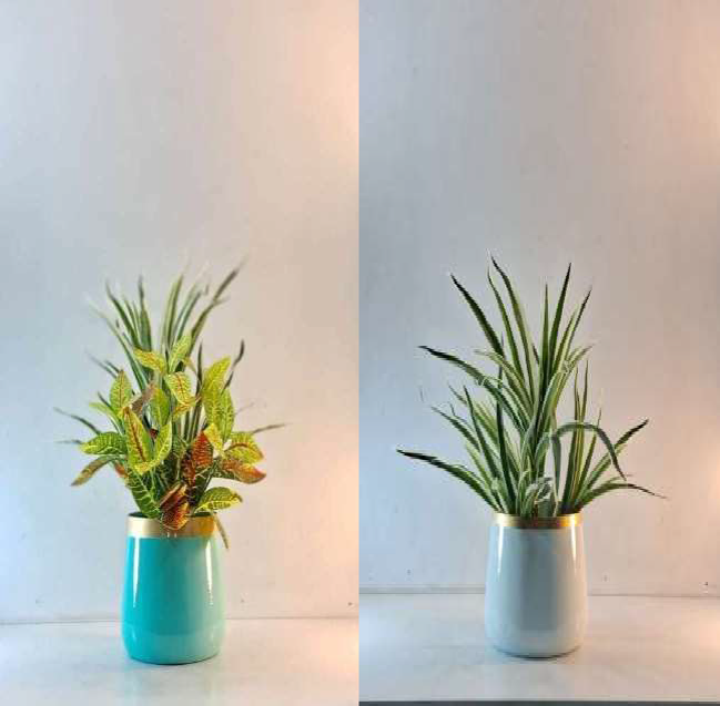 Metal Meena Pot