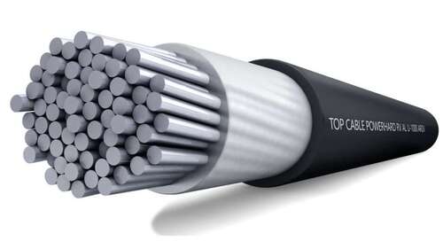 Cable - Armored Material: Yes