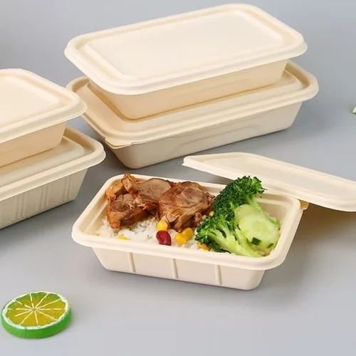 750ml Rectangle Lunch Container