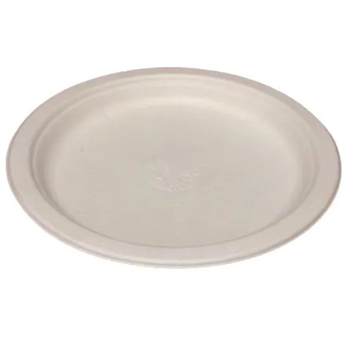 Paper Plate