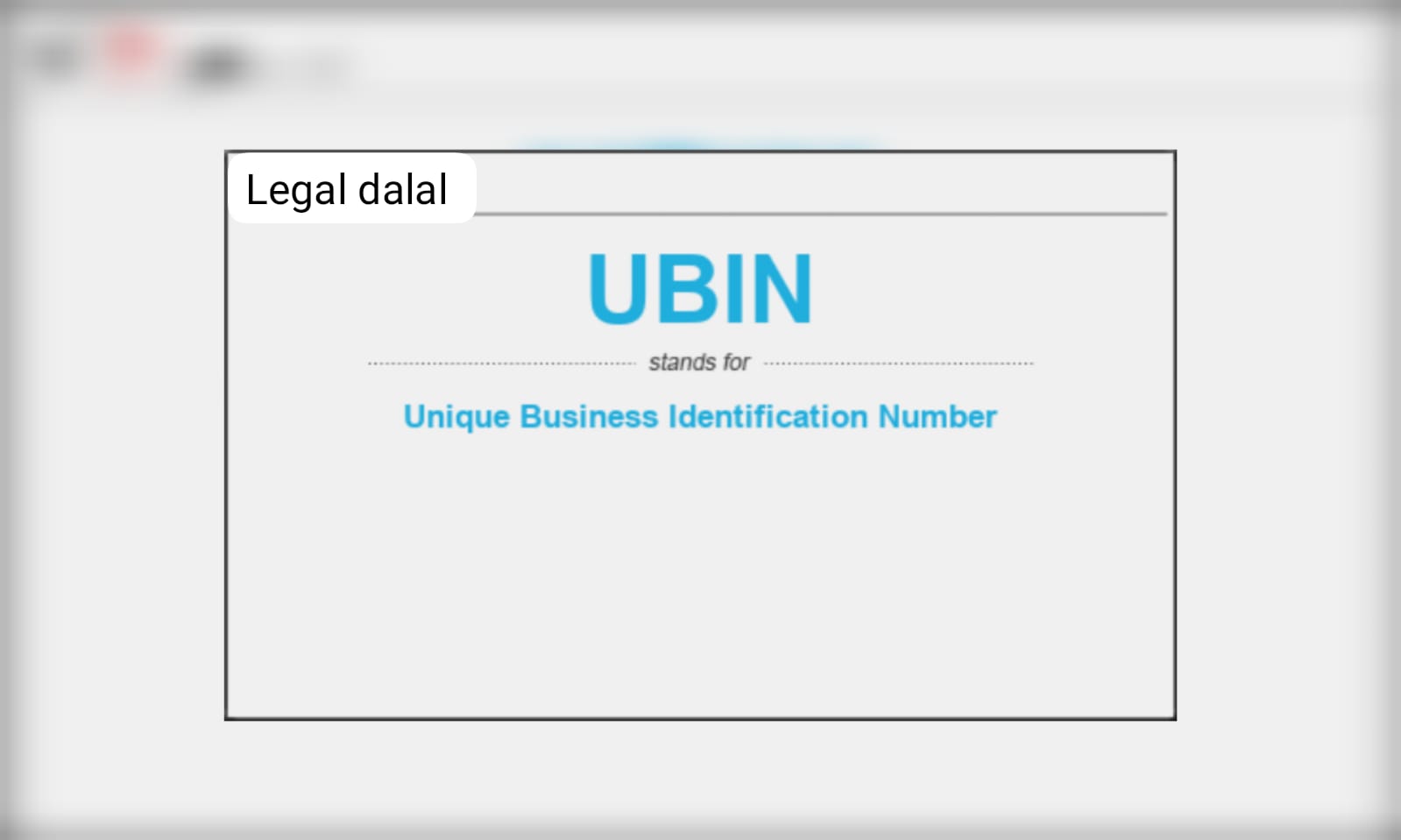 Unique Business Identification Number UBIN Services