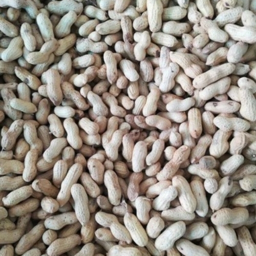 Ground Nuts