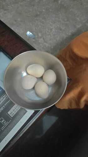 Organic eggs