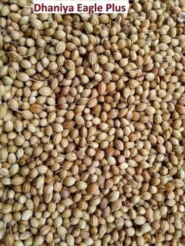 Eagle Plus Coriander Seeds