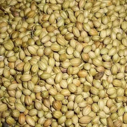 Pure Eagle Plus Coriander Seeds