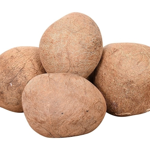 A Grade Dry Coconut