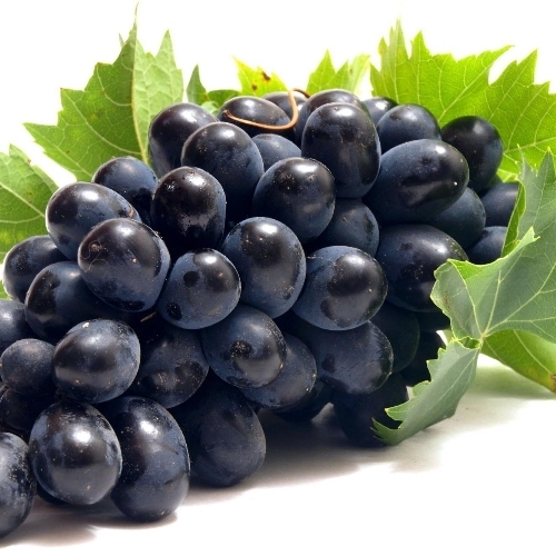 Black Grapes