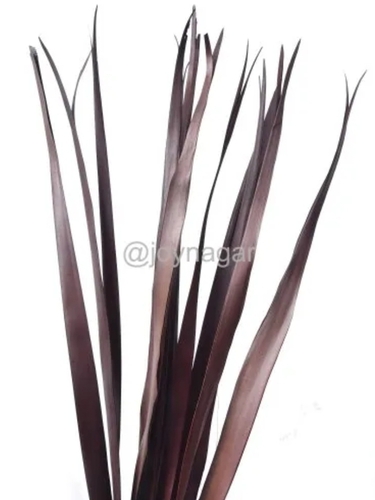 Decorative Natural Exotic Dried Flower Stick For Home