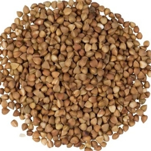 Kuttu Buckwheat Seed