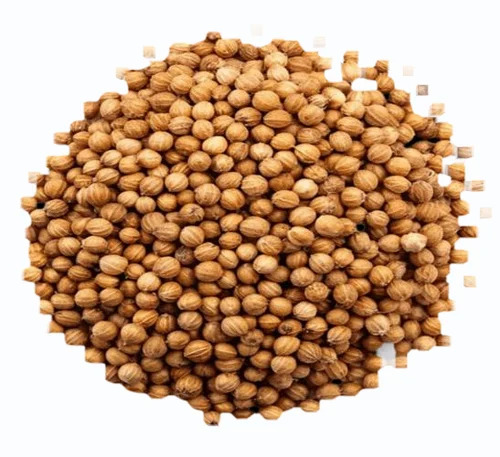 Coriander