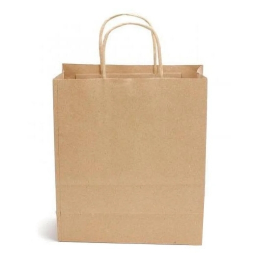 Paper Carry Bag