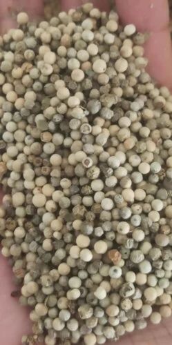 White Pepper