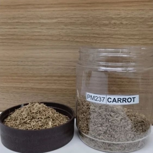 Carrot Seeds