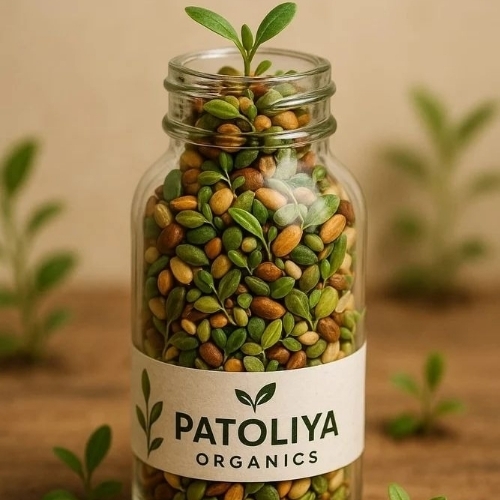 Kathua Kashmir Vegetable Seeds