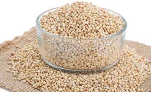 Organic Jowar Seed