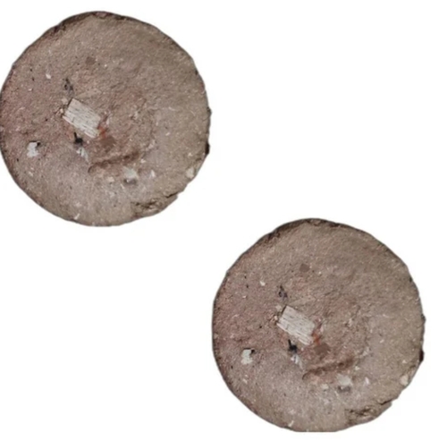 25mm Biomass Briquettes