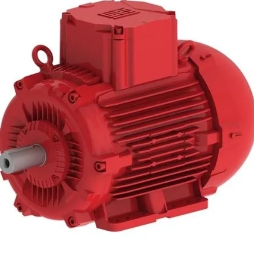 Ac Induction Motor